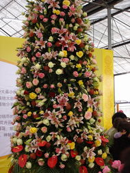 繁华中的静谧 瑞星卡卡安全论坛与第五届国际花卉展的不期而遇